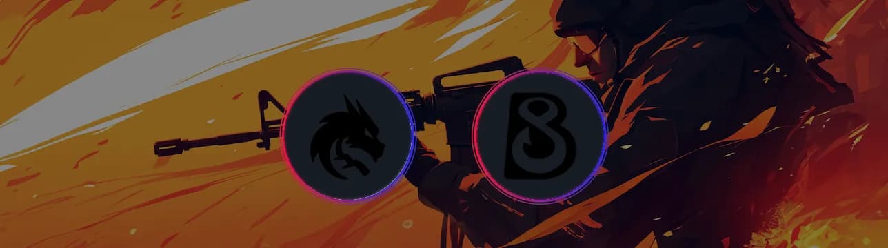 Team Spirit VS B8